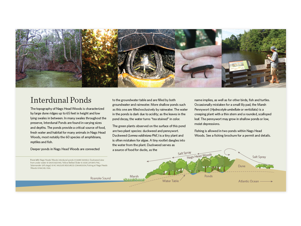The Nature Conservancy NC Chapter Nags Head Woods Preserve trail sign with infographic