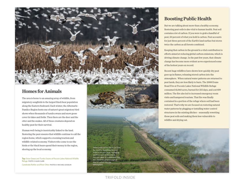 The Nature Conservancy NC Chapter peatlands brochure
