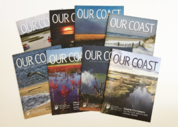 Our Coast; quarterly publication of the North Carolina Coastal Federation