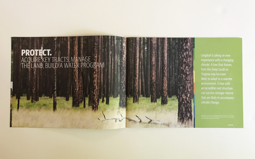 The Nature Conservancy NC Chapter campaign booklet